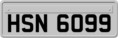 HSN6099