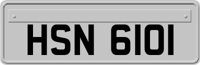 HSN6101