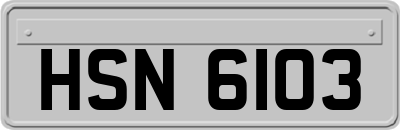 HSN6103