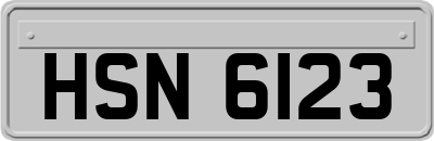 HSN6123