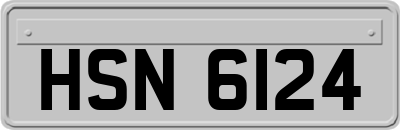 HSN6124