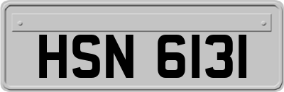 HSN6131