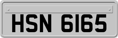 HSN6165