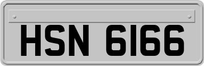 HSN6166