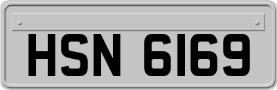 HSN6169