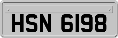 HSN6198