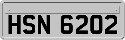 HSN6202