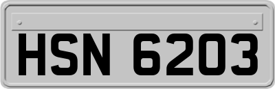 HSN6203