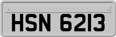 HSN6213