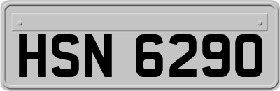 HSN6290