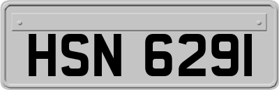 HSN6291