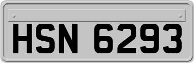 HSN6293
