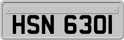 HSN6301