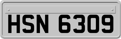 HSN6309