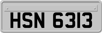 HSN6313