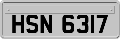 HSN6317