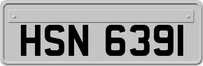 HSN6391
