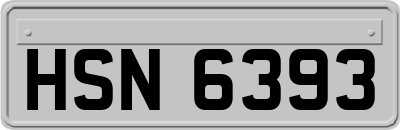 HSN6393