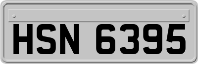HSN6395