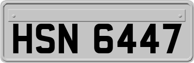 HSN6447