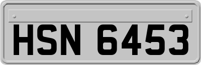 HSN6453