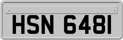 HSN6481