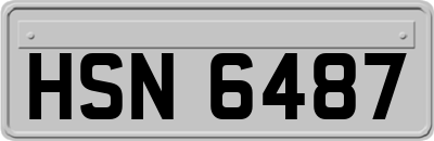 HSN6487