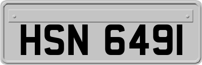 HSN6491
