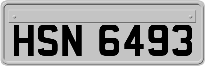 HSN6493