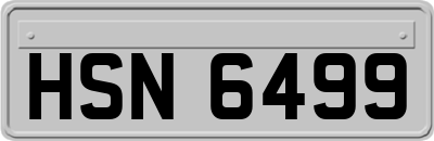 HSN6499