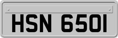 HSN6501