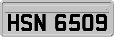 HSN6509