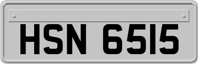 HSN6515