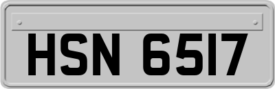 HSN6517