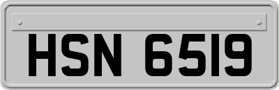 HSN6519