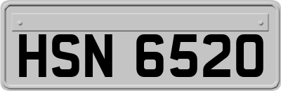 HSN6520