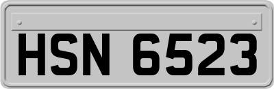 HSN6523