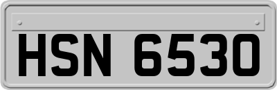 HSN6530