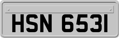HSN6531