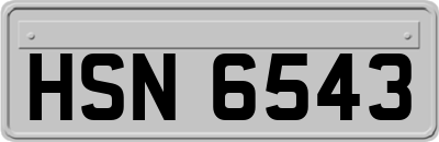 HSN6543