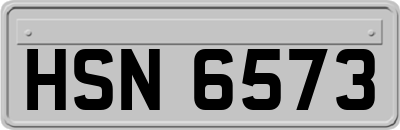 HSN6573