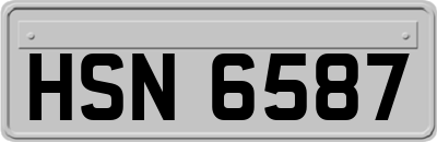 HSN6587
