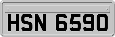 HSN6590
