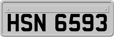 HSN6593