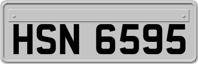 HSN6595