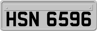 HSN6596