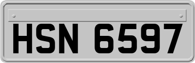 HSN6597