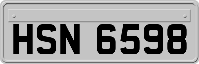 HSN6598