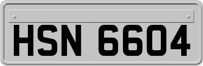 HSN6604
