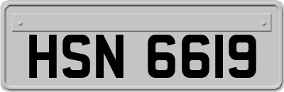 HSN6619